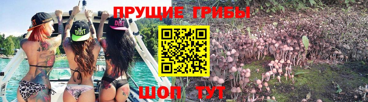 Псилоцибиновые грибы Psilocybe  Галлюциногенные грибы MAGIC MUSHROOMS  как найти закладки  Анапа  Вход с VPN 